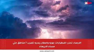 الأرصاد تحذر: اضطرابات جوية وأمطار رعدية تضرب 7 مناطق حتى مساء الأربعاء